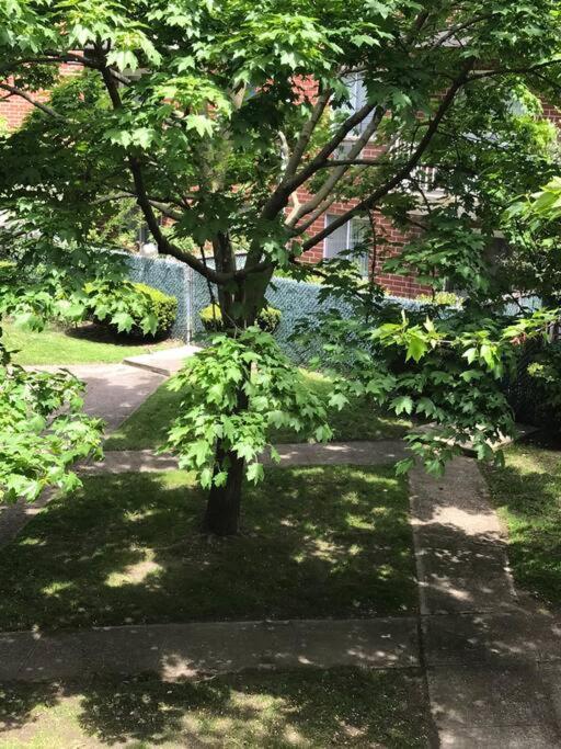 ניו יורק Brooklyn Luxury Spring Retreat With Private Outdoor Space מראה חיצוני תמונה